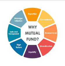 Which Mutual Funds Are The Top Performers In Last 1, 3 And 5 Years? -  Businesstoday