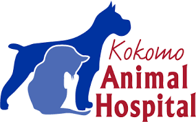 Contact golden paws pet styling academy on messenger. Homepage Kokomo Animal Hospital
