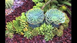 Succulent Garden Design Secrets Youtube Throughout Lava Rocks Landscaping Red Lava Rocks Landscaping Elbrusphoto Porch And Landscape Ideas Succulent Garden Design Succulent Landscaping Landscaping With Rocks