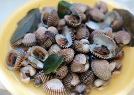 Cara membuat dan simpannya tergolong mudah. Resep Kerang Dara Rebus Bumbu Kuning