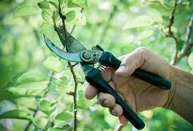 Great gardening tools should help you plant, rake, weed, and dig. Must Have Gardening Tools Forest Garden Centre Matlock