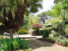 Sie gehört mit der kleineren insel porto santo und der unbewohnten kleineren inselgruppe ilhas desertas. Madeira Botanical Garden Jardim Botanico In Funchal