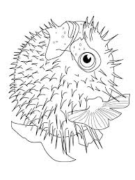 Pin By Rosa Solorio Garcia On Ocean Fish Coloring Page Animal Coloring Pages Cool Coloring Pages