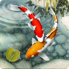 Especially koi fish wallpapers make happy your mood when see it. Live Fish Wallpapers 3d Water Theme Wallpaper 1 2 Apk Free Personalization Application Apk4now