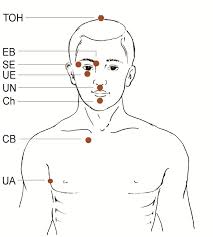 Check spelling or type a new query. How To Do The Eft Tapping Basics The Basic Recipe Part I For Everyone The Eft Tapping Basics Official Eft Tutorial