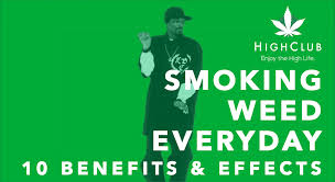 Check spelling or type a new query. 10 Surprising Benefits Effects Of Smoking Weed Everyday Highclub