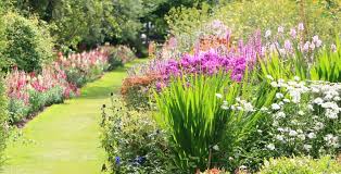 La sua bellezza era tale che cronos, padre di zeus, si innamorò di lei. Fiori Profumati L Aroma Delle Stagioni Ecoprospettive