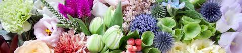 Holex Flower Export From Holland Wholesale Flowers For The Busy Floral Professional