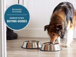 Best Dog Food In 2021 Best Dog Food Dog Food Recipes Best Dog Food Brands