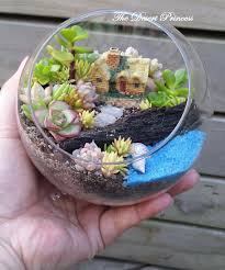 Image Result For Succulent Terrarium Fairy Garden Terrariumsuspendu Fairy Terrarium Garden Terrarium Terrarium