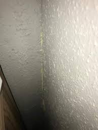 Gelber schimmel besitzt eine große anpassungsfähigkeit und nimmt manchmal. Gelbe Flecken An Der Wand Was Konnte Das Sein Schimmel