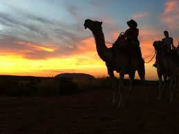 Uluru used to be called ayers rock, and it lies right in the red centre of australia. Take A Camel To Sunrise Tour