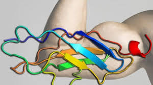 Cele mai lungi cuvinte din limba română sunt: Cel Mai Lung Cuvant Din Lume Vezi Cate Sute De Mii De Litere Are