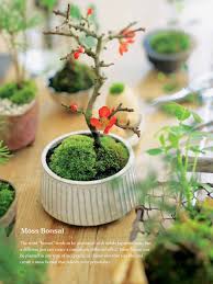 The deep colors and textures of moss can create an outdoor (or indoor) container garden that is soothing to. Japanese Inspired Gardens The Gardener S Eden