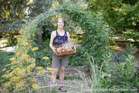 Types of vegetable garden irrigation Creative Vegetable Gardener Secrets To Watering Your Vegetable Garden The Right Way Creative Vegetable Gardener