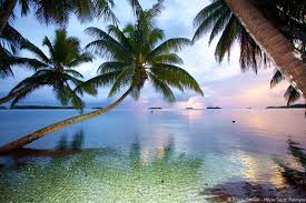 The nearest inhabited islands are those of kiribati. Dr Sylvia Earle Names Palmyra Atoll A Hope Spot For The World S Ocean Mission Blue