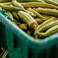 Growing Safe Workshop: Foundations of Farm & Garden Food Safety