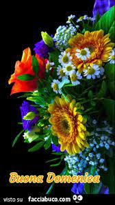 Regalare un mazzo di fiori è sempre un gesto molto elegante, quanti motivi si hanno per donare queste splendide creature floreali; Mazzo Di Fiori Colorato Buona Domenica Facciabuco Com