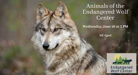 Animals of the Endangered Wolf Center – All Ages
