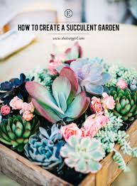 How To Create A Succulent Garden The Everygirl Plants Succulents Succulents Garden