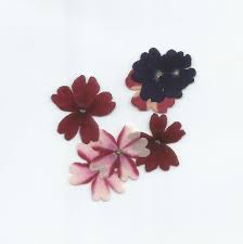 How to store dried or pressed flowers. Pressed Dried Flowers Verbena Uk Pack Of 7 Dried Flowers Shop