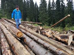 Discover new books on goodreads. Povestea VieÈ›ii Lui Alex Dima De La Studii De Teologie La Romania Te Iubesc È™i PanÄƒ La Povestea Despre Care Cu Greu Mai AcceptÄƒ SÄƒ VorbeascÄƒ Life Ro