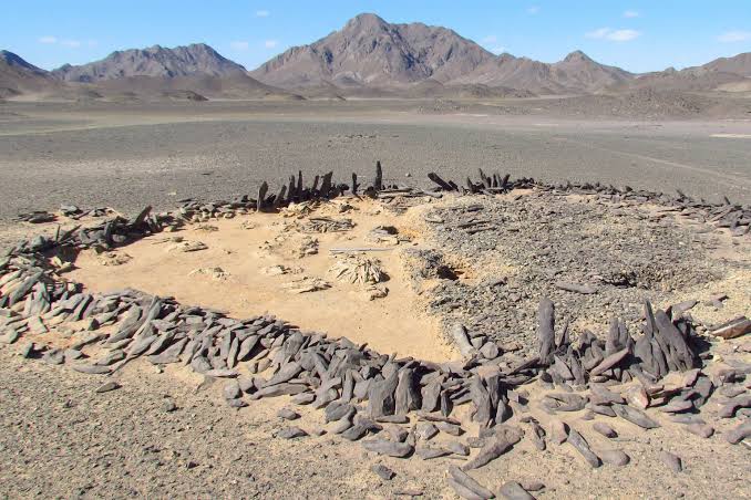 Strange Stone Circles Hint at a Lost Nomadic Culture of the Sahara Desert |  National Geographic