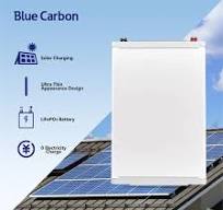 Cina Blue Carbon 12V 300AH Baterai Tenaga Surya Sistem ...