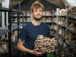 Hier erfährst du, wann wo die köstlichsten speisepilze wachsen und was du unbedingt beachten solltest. Diese Gourmet Pilze Wachsen In Unterirdischen Hallen