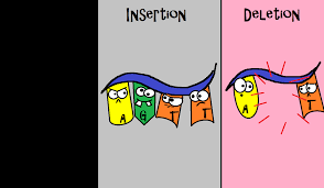 When It Comes To Mutations Insertions And Deletions Have The Potential To Be Especially Dangerous Because They Cause Science Jokes Science Geek Biology Class