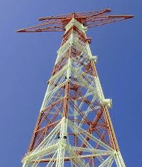 Image result for Memecylon torrei