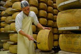 Formaggi algunder bauernkase halbfett (formaggio contadino semigrasso di lagundo). Alla Scoperta Del Latte E Dei Formaggi Tipici Del Trentino Alto Adige