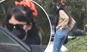 On a wednesday in late february, and. Dakota Johnson Models Orange Scrunchie As She Visits Malibu Mansion Shared With Beau Chris Martin Daily Mail Online