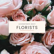 1401 delaware avenue, lexington, ky 40505 map · phone number. Best Florists In Lexington Ky Shop Local Florists Kim Soper Has The Best Tips For Flower Delivery