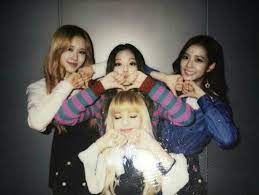 Cuz she had to help rosé out of the tree. Rose Jennie Jisoo E Lisa 3 Blackpink Blackpink Jisoo Black Pink Kpop