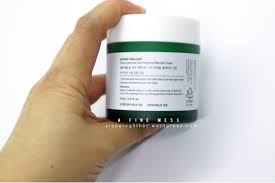 Review Botanic Heal Boh Derma Intensive Cica Panthenol Blemish Cream