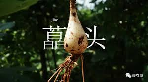 藠頭---植物界的白富美好吃又健康！_辣椒