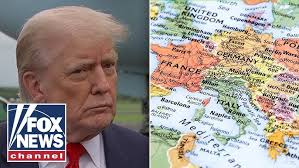 Avery Dennison Black Carbon Fiber Vinyl MKVI Jetta Hood Wrap w/ Gawriluk  Wraps and Fellers