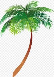 Maybe you would like to learn more about one of these? Asian Palmyra Palm Illustration Palm Trees Vector Graphics Text Png 3831x5451px Asian Palmyra Palm Arecales Borassus