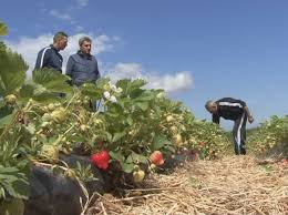 Cererea de pensionare şi actele necesare se depun la casa teritorială de asigurări sociale de la. Pensii 2020 Pensie Pentru Romanii Care Muncesc In StrÄinÄtate Actele Necesare DacÄ Vechimea Este Mai MicÄ De 15 Ani Impact