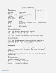 Cv Template Bahasa Indonesia Resume Format Curriculum Vitae Curriculum Creative Cv