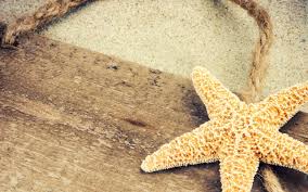 Starfish Wallpaper Wallpapers tagged with this tag. starfish wallpaper
