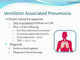 A journal of the society of critical care medicine and the world federation of pediatric intensive and critical care societies, 01 may 2019. Ppt Ventilator Care Bundle Powerpoint Presentation Free Download Id 2602598