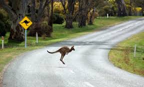 Un peu mieux chaque jour! Heure En Australie Decalage Et Fuseaux Horaires