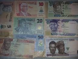 How much is 1 euro to naira? Nigeria Banknotes Nairas 5 10 20 50 100 200 500 1000 Naira Money Worksheets Bank Notes Book Cover