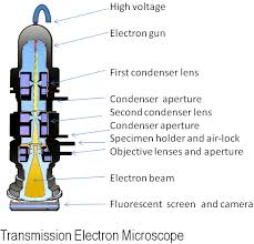 Sifat 2 sinar katoda : Mikroskop Elektron Wikipedia Bahasa Indonesia Ensiklopedia Bebas