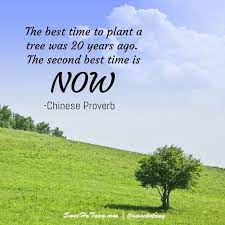 The Best Time To Plant A Tree Was 20 Years Ago The Second Best Time Is Now Chinese Proverb Chinese Proverbs Second Best Proverbs