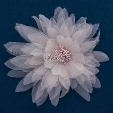 We did not find results for: Fiori E Fiocchi Spille