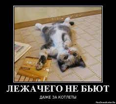 ЛЕЖАЧЕГО НЕ БЬЮТ ДАЖЕ ЗА КОТЛЕТЫ » Демотиваторы по-русски - Создать  демотиватор