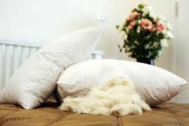 Sehingga bisa lebih aman apakah bantal bisa dicuci di mesin cuci atau cukup direndam saja. Langkah Langkah Mencuci Bantal Agar Terbebas Dari Bakteri